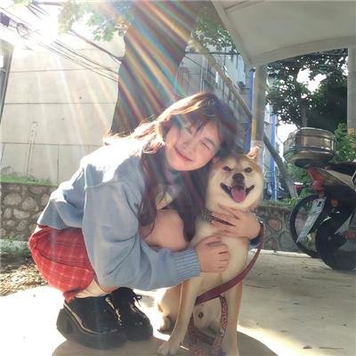 当狗爱上猫粤语
